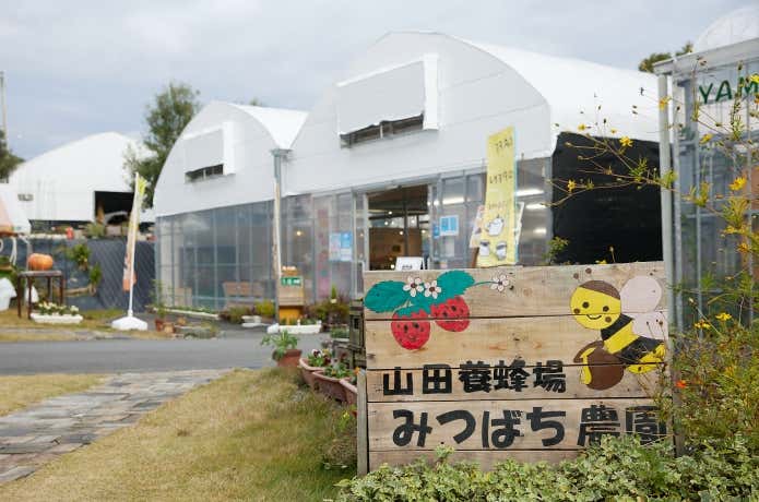 山田養蜂場