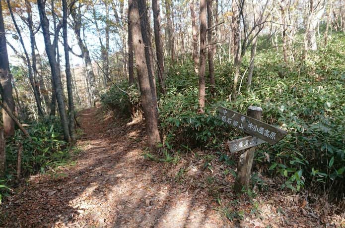 恐羅漢山の登山道