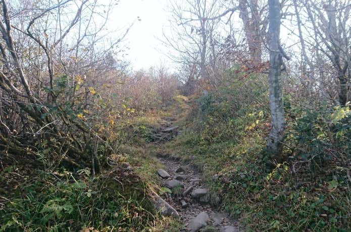 登山道の石
