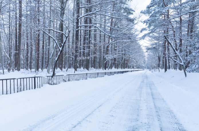 雪道
