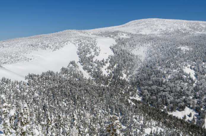 西吾妻山