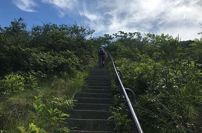 栂尾山の階段