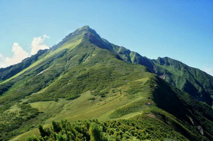 緑が生い茂る利尻山