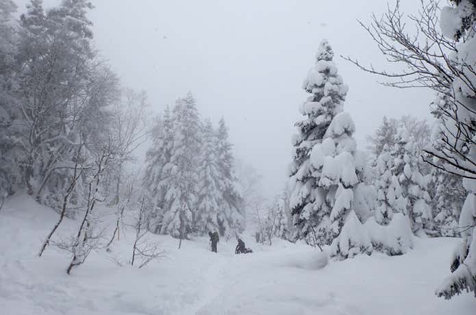 雪山　トレース