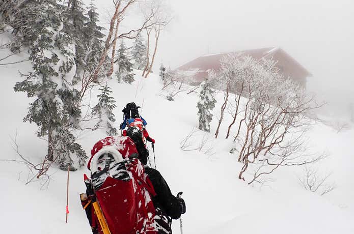 樹林帯を抜けた登山道