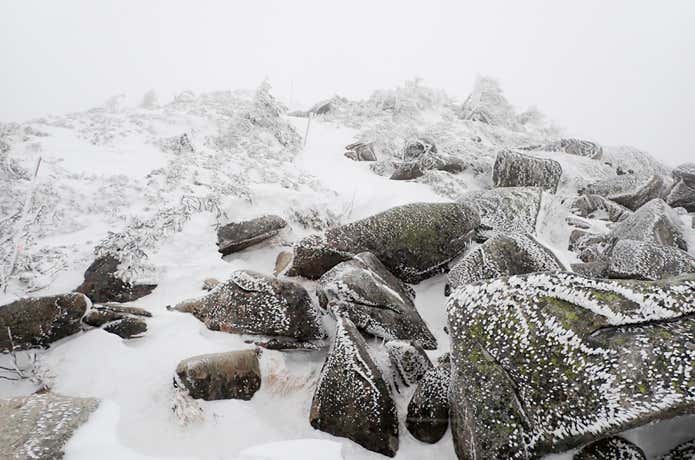 小屋の直上　登山道