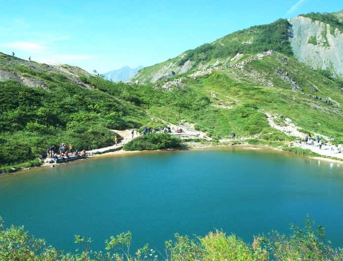 唐松岳