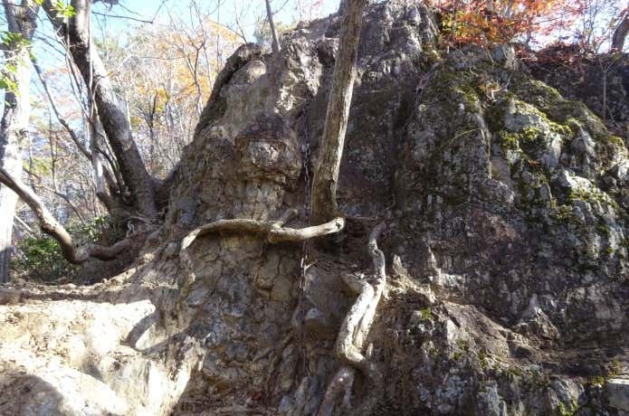 下り斜面