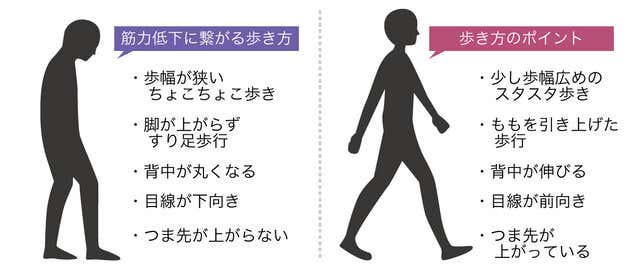 着る筋肉、DARWING