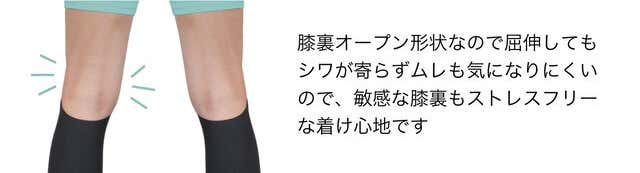 着る筋肉、DARWING