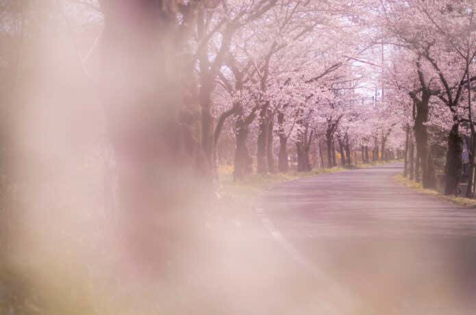 太平山県立自然公園