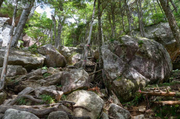 瑞牆山の登山道