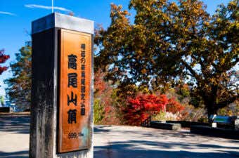高尾山ハイキング