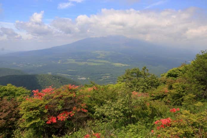 レンゲツツジと浅間山