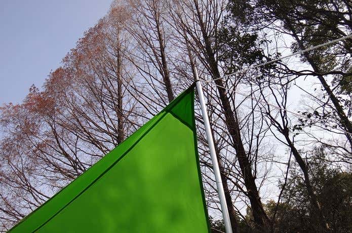 試し張り