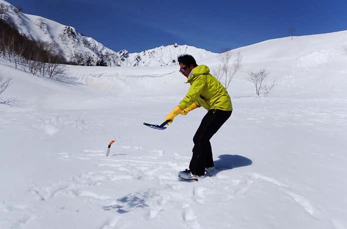 表面の雪はスコップで捨てる