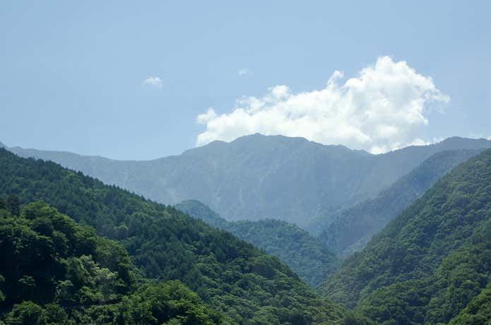 南アルプス林道より望む仙丈ヶ岳