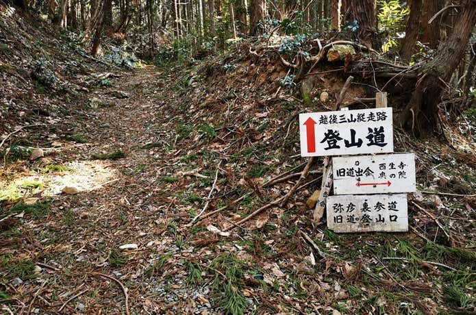 裏登山口