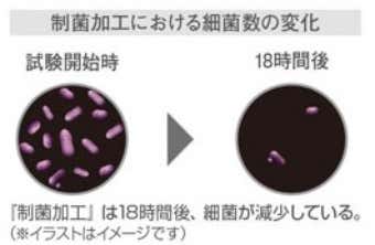 制菌効果