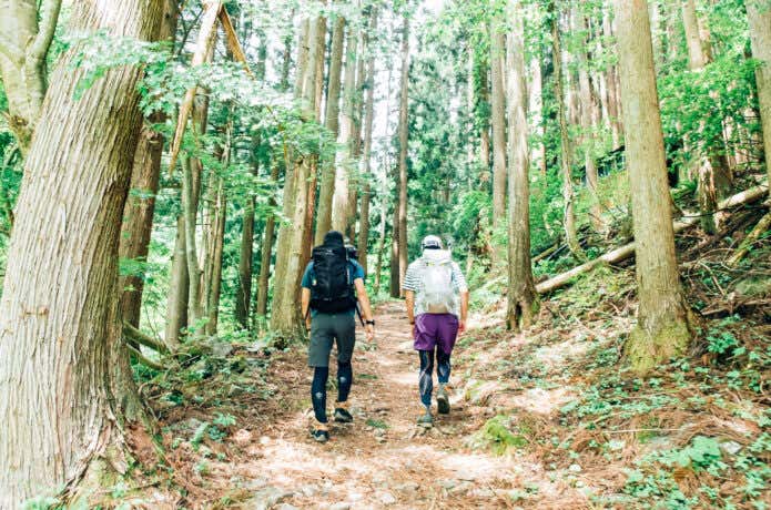 兵庫県の山中