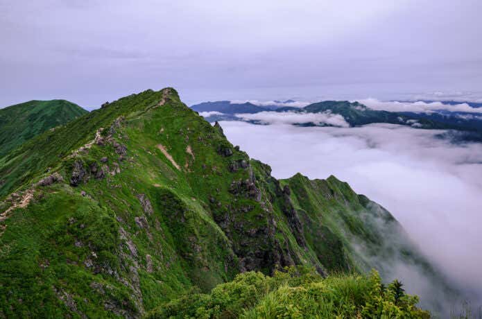 山頂の景色