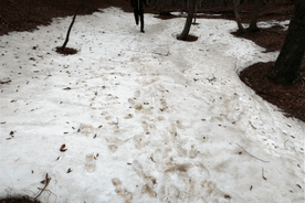 running_flat