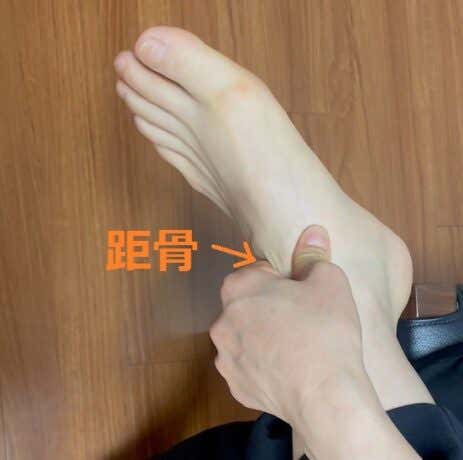距骨
