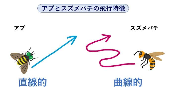 アブとスズメバチ飛行の特徴