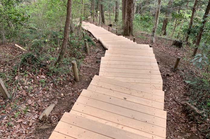 2021年4月にリニューアルしルート上部に立派な階段ができた6号路
