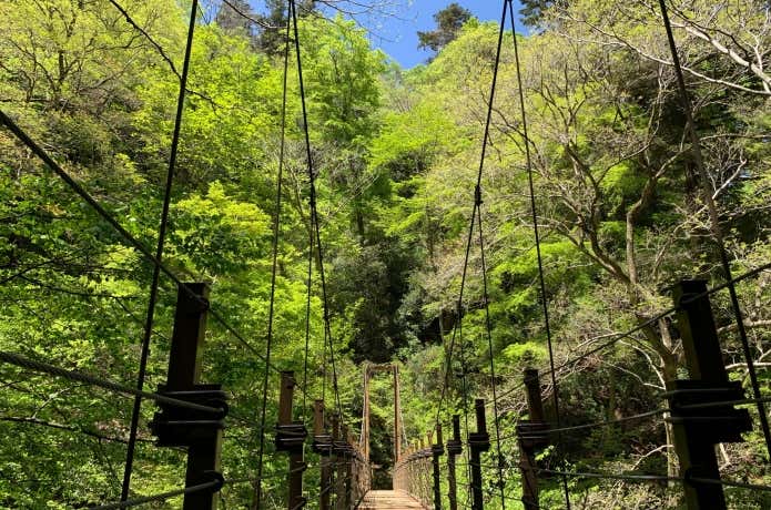高尾山唯一の吊り橋「みやま橋」