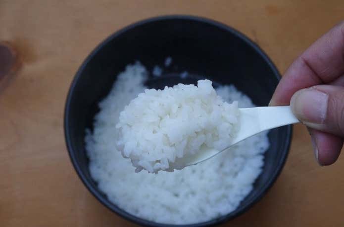 ツンドラ3ミニ　ごはん