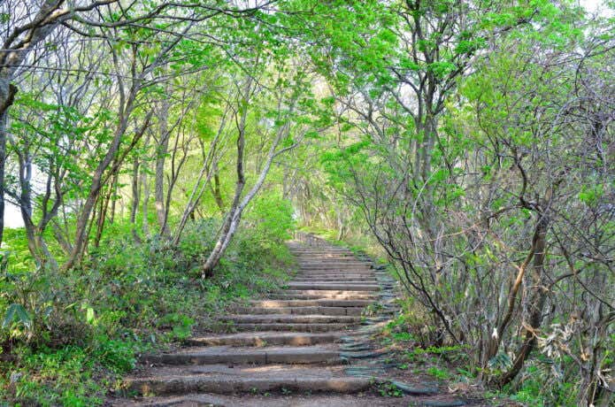 整備された登山道