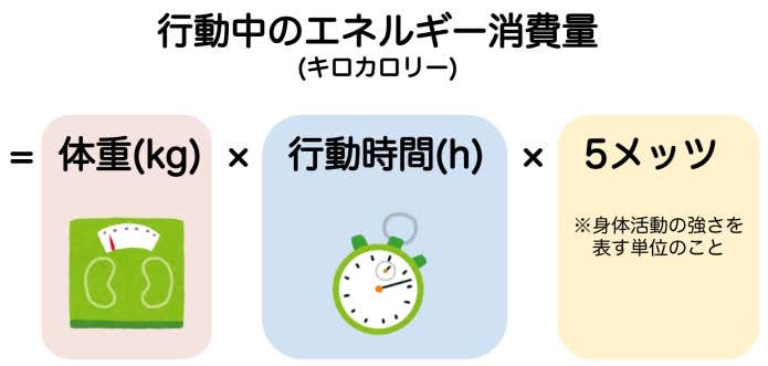 行動中のエネルギー消費量