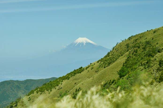 達磨山の登山道から眺める富士山