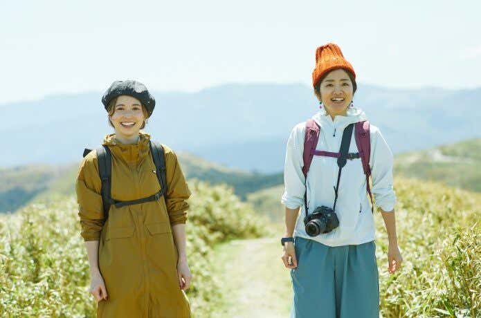 達磨山山頂
