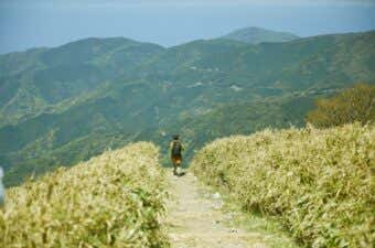 なだらかな登山道
