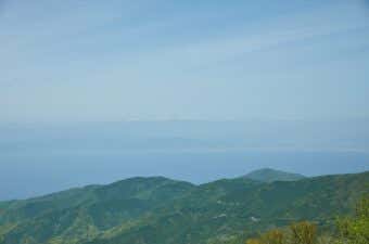 達磨山からの景色