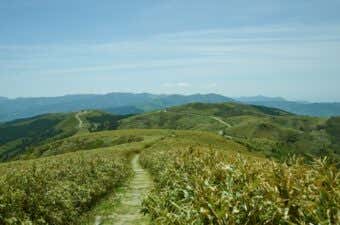 なだらかな登山道