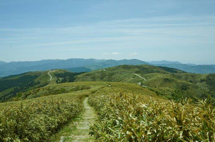 なだらかな登山道