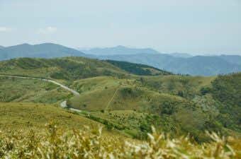 登山道からの景色