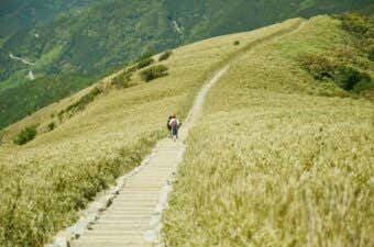 登山道