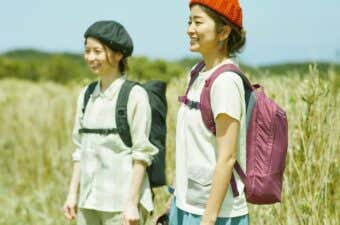 なだらかな登山道