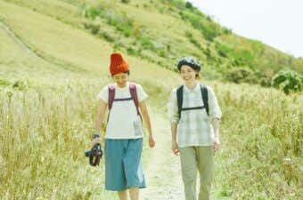 なだらかな登山道