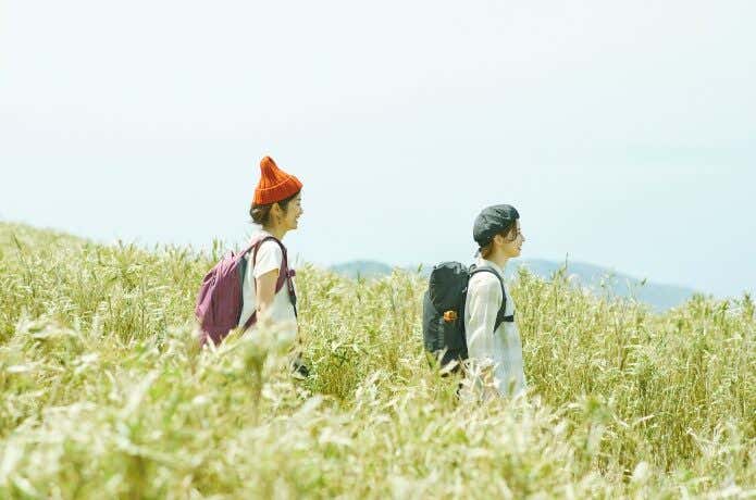なだらかな登山道