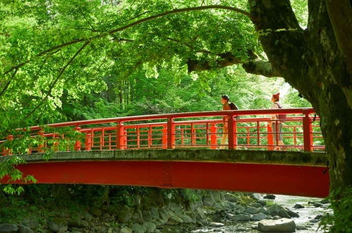 桂橋