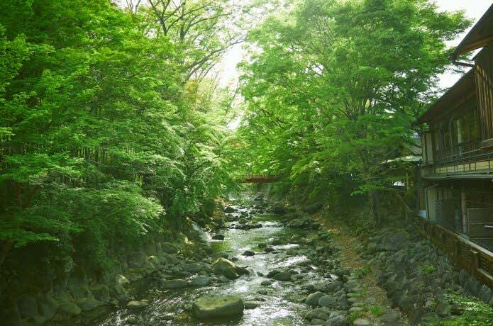 桂橋