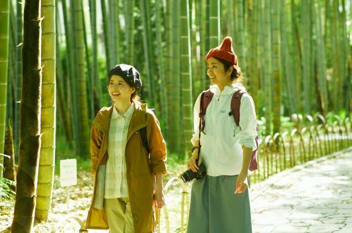 竹林の小径