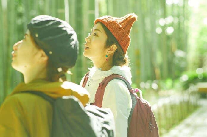竹林の小径