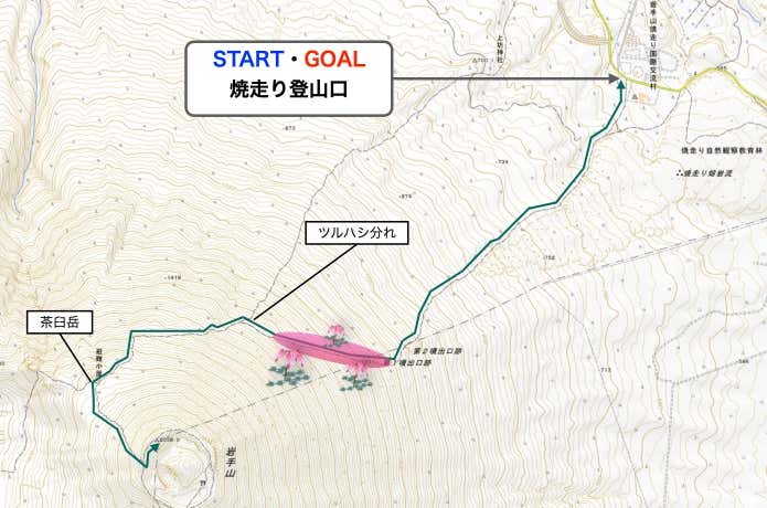 コマクサMAP・岩手山