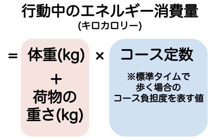 行動中のエネルギー消費量